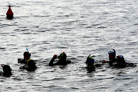 entrainement au 800 PMY